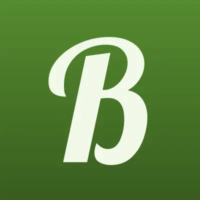 Биг Мешок, производственная компания, лого-визитка